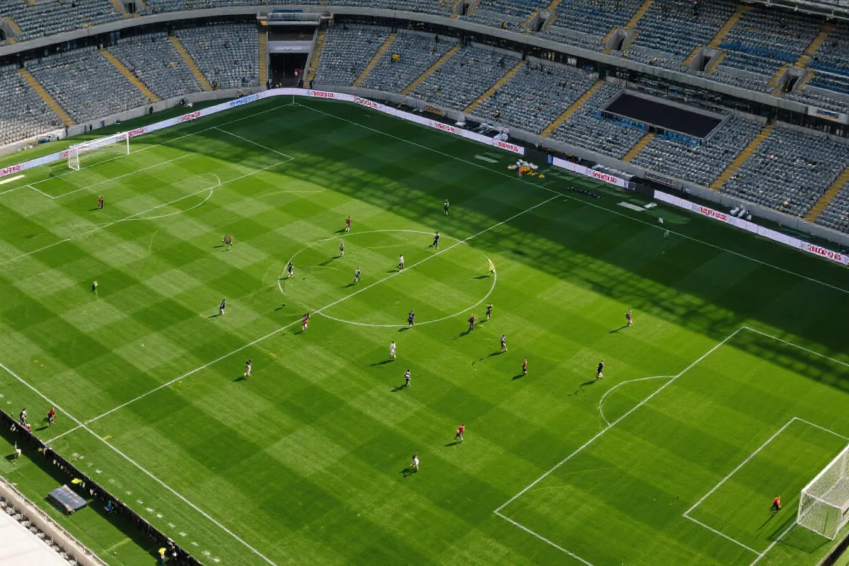 体育场景示意图